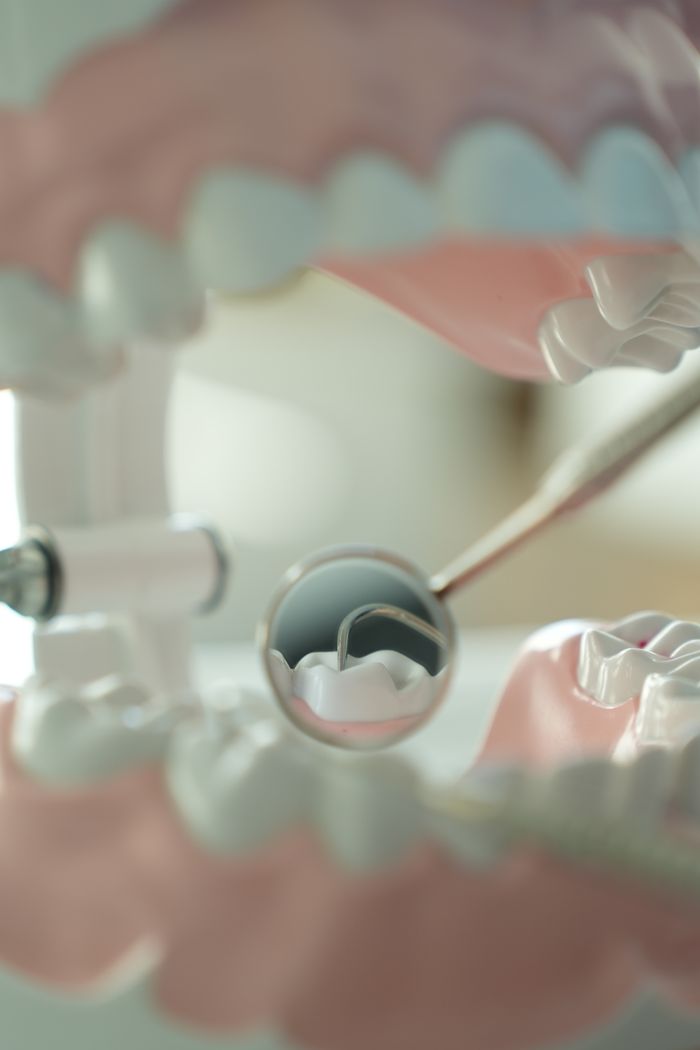 home-services-03 Detailed shot of dental tool examining model teeth, showcasing dental care concepts.